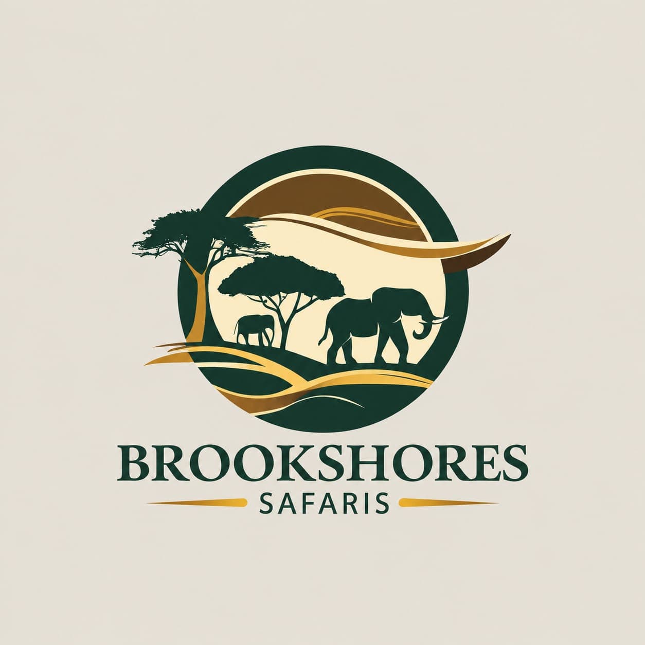Brookshores Safaris logo